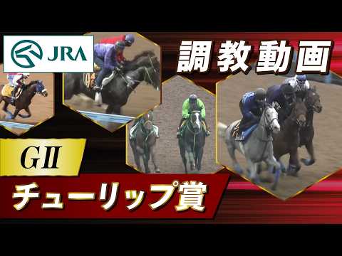 【調教動画】2026年 チューリップ賞｜JRA公式 サムネイル