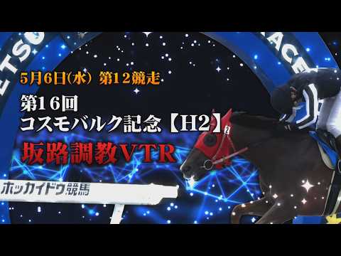 【坂路調教動画】5/6 第12Rコスモバルク記念【門別競馬】