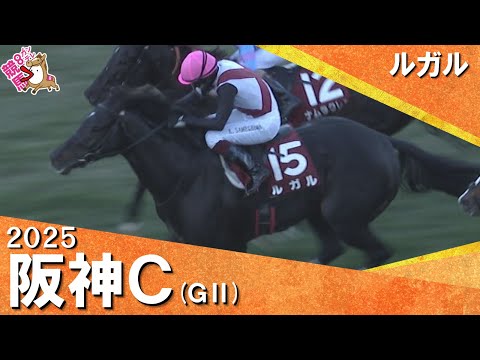 2025年 阪神カップ(ＧⅡ) ルガル　実況：川島壮雄【カンテレ公式】 サムネイル