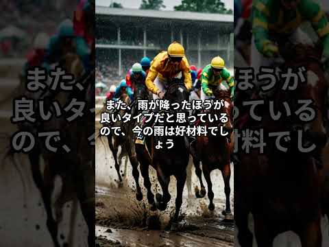 メンバー限定！12月24日の大井8R推奨馬 サムネイル