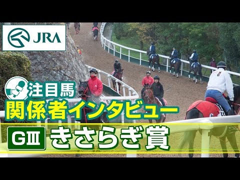 【注目馬 関係者インタビュー】2026年 きさらぎ賞｜JRA公式 サムネイル