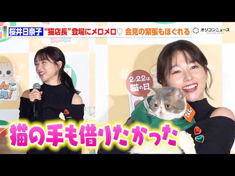 桜井日奈子、猫愛が炸裂！？“猫店長”にメロメロで会見の緊張もほぐれる　セブン‐イレブン『にゃんこ発見！』新商品発表会・… サムネイル