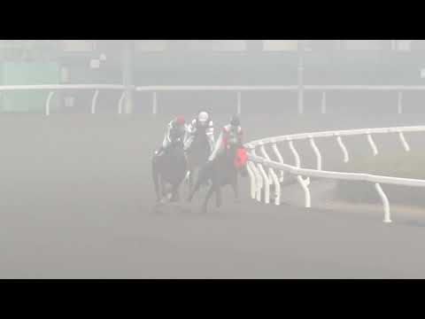 2025年12月25日浦和競馬能力調教試験 サムネイル