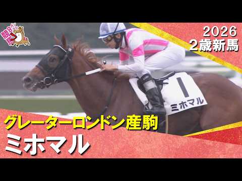 ミホマルが４馬身差の快勝！横山和生騎手「1400mまでならこなしてくれる」2026年10月4日(日)２歳新馬　京都ダー…