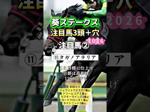 葵ステークス 競馬 shorts サムネイル