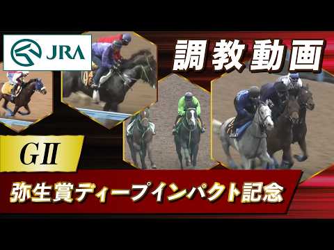 【調教動画】2026年 弥生賞ディープインパクト記念｜JRA公式 サムネイル