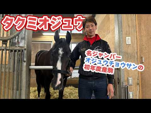 【○○なのは父譲り⁉】名ジャンパー・オジュウチョウサン産駒のタクミオジュウがついに美浦トレセンに入厩！ サムネイル
