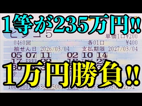 【宝くじ複数当選！】なんとビンゴ５の１万円勝負で宝くじの還元率を超えてくれました！！ サムネイル