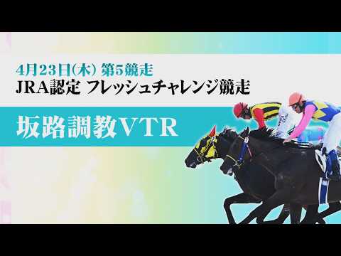 【坂路調教動画】4/23 第5Rフレッシュチャレンジ競走【門別競馬】 サムネイル