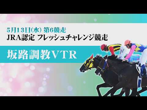 【坂路調教動画】5/13 第6Rフレッシュチャレンジ競走(新種牡馬限定競走)【門別競馬】 サムネイル