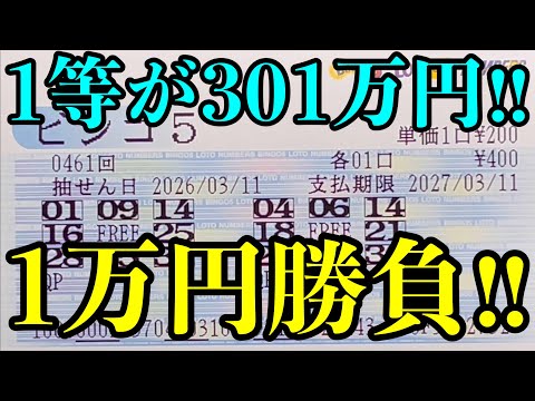 【宝くじ複数当選！】１等３０１万円を目指してビンゴ５で１万円勝負した結果を見ていきます！！ サムネイル