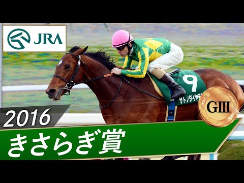 2016年 きさらぎ賞（GⅢ） | サトノダイヤモンド | JRA公式 サムネイル