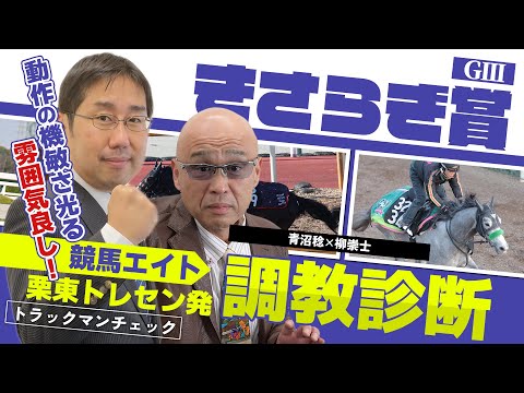 【競馬エイト調教診断】きさらぎ賞（柳崇士＆青沼稔） サムネイル