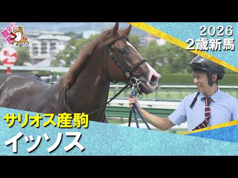 ショウヘイの半弟イッソスが首差をかわし初陣飾る!西村淳也騎手「言うことない。優等生でした」2026年9月5日(土)2歳…