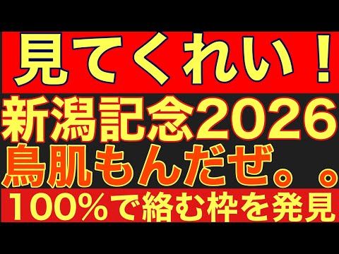【新潟記念2026サイン①】過去8年100%の確率で3着以内!富士Sと新潟記念を結ぶ「最強の枠番連動」から浮き出た枠と…