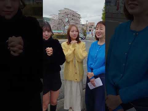 2026/3/28 WINWIN LIVE TODA 3rd season shorts サムネイル