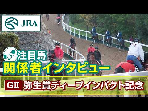 【注目馬 関係者インタビュー】2026年 弥生賞ディープインパクト記念｜JRA公式 サムネイル