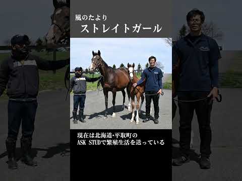 【風のたより】ストレイトガール サムネイル