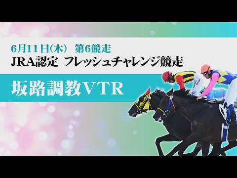 【坂路調教動画】6/11 第6Rフレッシュチャレンジ競走【門別競馬】