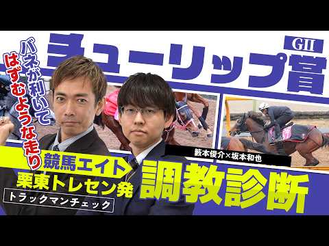 【競馬エイト調教診断】チューリップ賞（籔本俊介＆坂本和也） サムネイル
