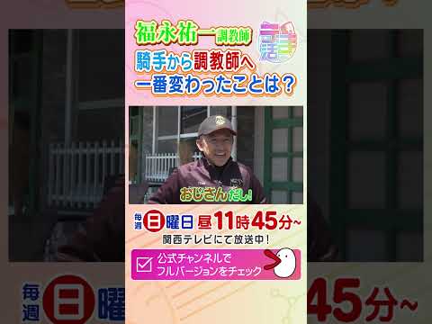 福永祐一調教師、騎手から調教師へ！一番変わったことは？　カンテレ競馬　競馬BEAT　競馬　NMB48　shorts　騎…