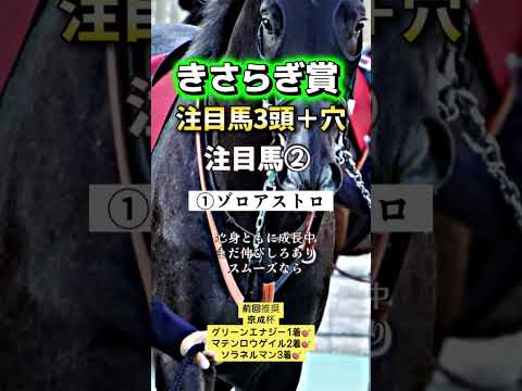 きさらぎ賞 競馬 shorts サムネイル