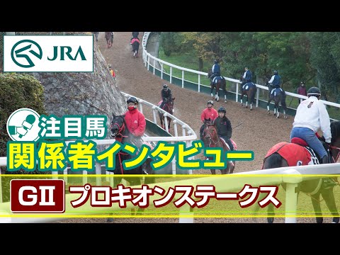 【注目馬 関係者インタビュー】2026年 プロキオンステークス｜JRA公式 サムネイル
