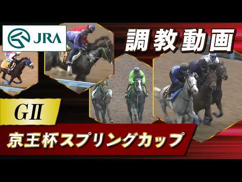 【調教動画】2026年 京王杯スプリングカップ｜JRA公式 サムネイル