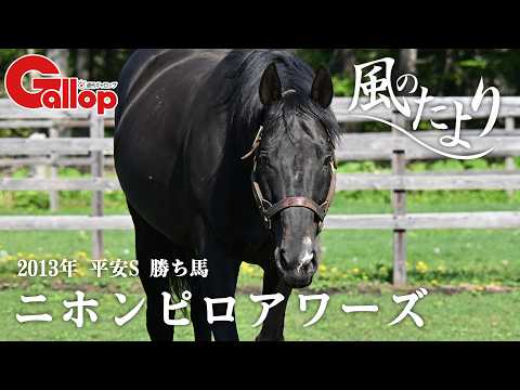 ニホンピロアワーズ　種牡馬11年目を迎えたダート王【風のたより】 サムネイル