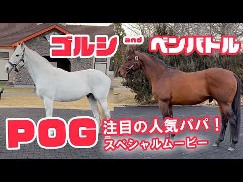 【POG取材でゴールドシップとベンバトルに〝遭遇〟】 サムネイル