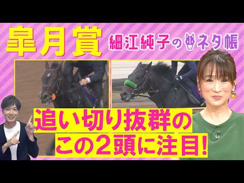 【１７週連続注目馬が激走中！】「おもしろみがあるアナ馬は…」ロブチェン、カヴァレリッツォ、グリーンエナジー・・・皐月賞…