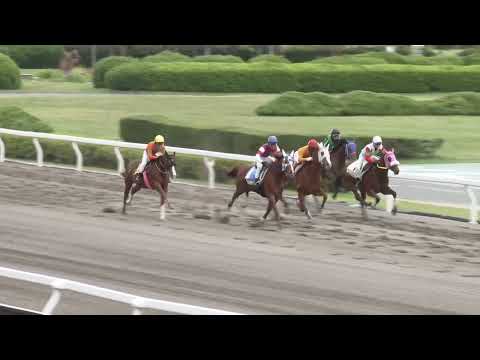 令和8年度第3回浦和競馬 能力調教試験【2026年6月5日】 サムネイル