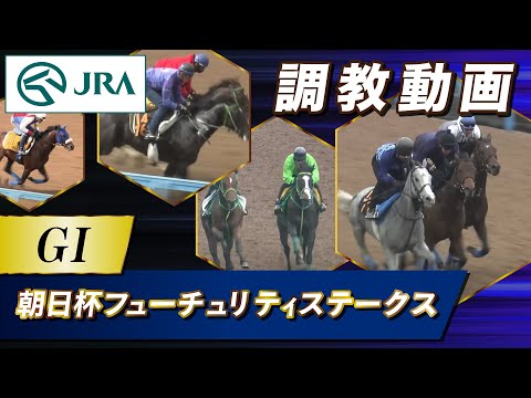 【調教動画】2025年 朝日杯フューチュリティステークス｜JRA公式