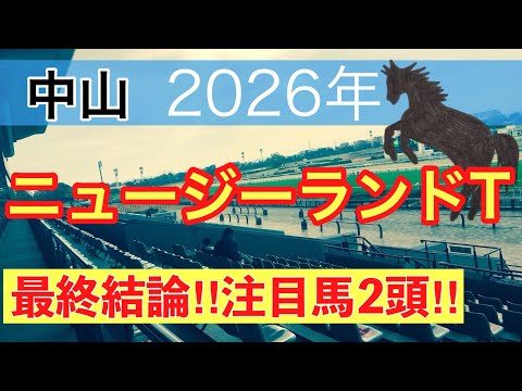 【ニュージーランドトロフィー2026】蓮の競馬予想(最終結論) サムネイル