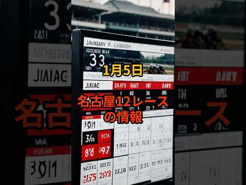 1月4日の名古屋12R推奨馬 競馬 中央競馬予想