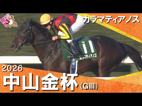 2026年中山金杯(ＧⅢ) カラマティアノス【カンテレ公式】 サムネイル