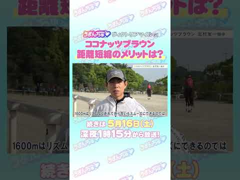 ヴィクトリアマイル GⅠ トレセン直撃取材！ 競馬 ヴィクトリアマイル ココナッツブラウン 北村友一 騎手 サムネイル