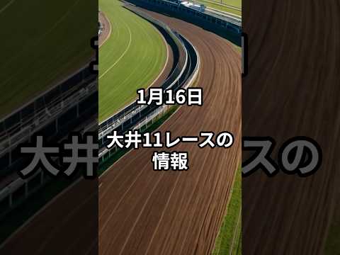 1月16日の大井11R推奨馬 競馬 競馬予想