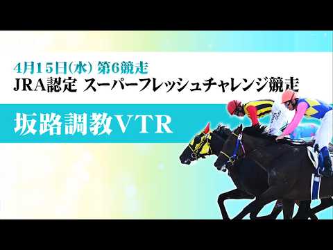 【坂路調教動画】4/15 第6Rスーパーフレッシュチャレンジ競走【門別競馬】 サムネイル