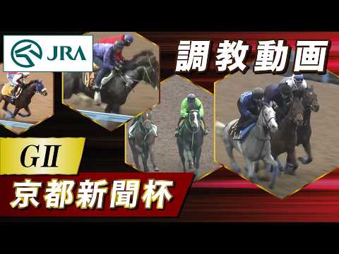 【調教動画】2026年 京都新聞杯｜JRA公式 サムネイル