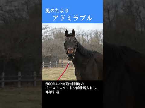 【風のたより】アドミラブル サムネイル