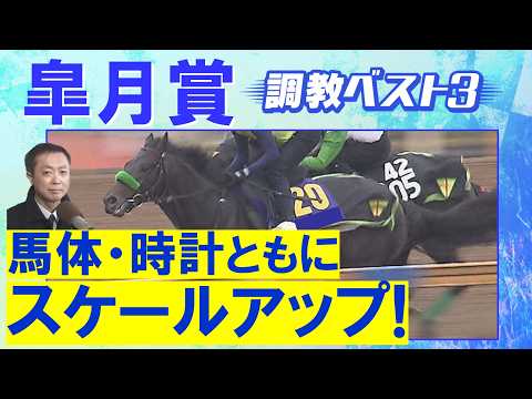 「ここを目標に万全の仕上げ！」ロブチェン、カヴァレリッツォ、グリーンエナジー・・・競馬エイト・高橋賢司トラックマンの調… サムネイル
