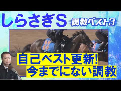【伏兵がランクイン！】エコロアルバ、ファーヴェント、ファンダム・・・競馬エイト・高橋賢司トラックマンの調教解説＜しらさ…