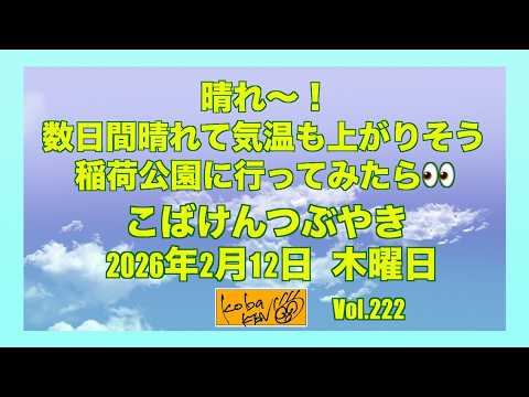 2026年2月12日　木曜日　こばけんつぶやき サムネイル