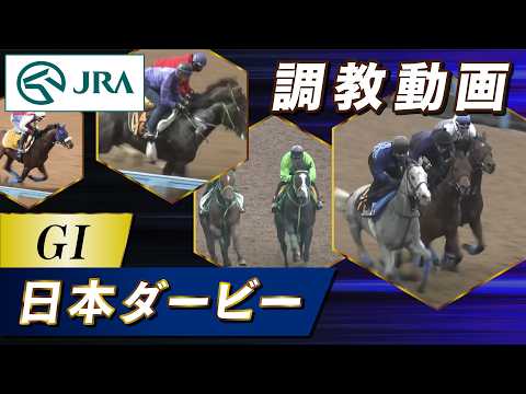 【調教動画】2026年 日本ダービー｜JRA公式 サムネイル