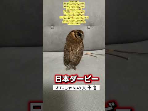 日本ダービー 競馬 shorts サムネイル