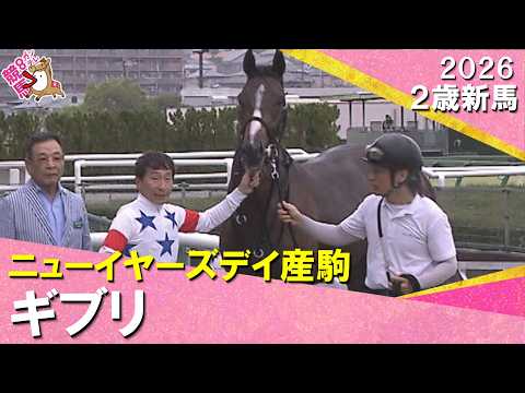 【横山典弘騎乗の10番人気ギブリが波乱V！】松永幹夫調教師「ゲートからいい位置を取れた」2026年9月26日(土)２歳…