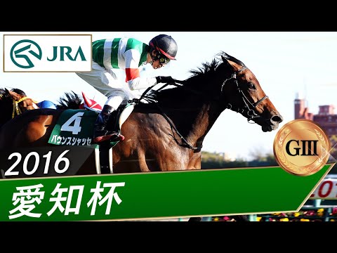 2016年 愛知杯（GⅢ） | バウンスシャッセ | JRA公式 サムネイル