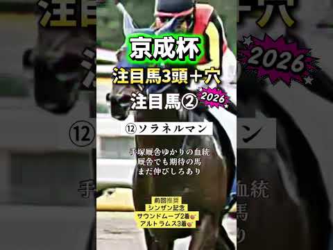 京成杯 競馬 shorts サムネイル