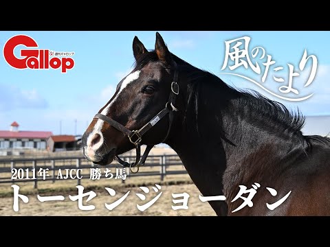 【風のたより】トーセンジョーダン サムネイル